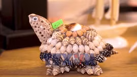 Người 'thổi hồn' vào sò ốc 