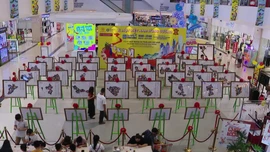 Trưng bày tranh da 'Về chung một nhà' gây quỹ xây cầu vùng cao 