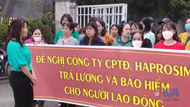 Từ 1/7, tăng nặng mức phạt chậm đóng bảo hiểm xã hội 