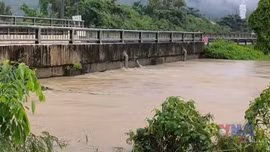 Khánh Hòa cảnh báo lũ khẩn cấp trên sông Dinh Ninh Hòa 