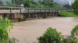 Khánh Hòa cảnh báo lũ khẩn cấp trên sông Dinh Ninh Hòa 