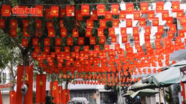 Không khí Đại hội XIV lan tỏa từ từng con hẻm TP Hồ Chí Minh