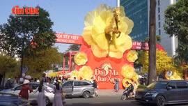 Rộn ràng sắc xuân tại Lễ hội Tết Việt Bính Ngọ 2026