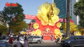 Rộn ràng sắc xuân tại Lễ hội Tết Việt Bính Ngọ 2026