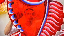 Những người 'giữ lửa' cho nghề làm lồng đèn truyền thống tại TP Hồ Chí Minh