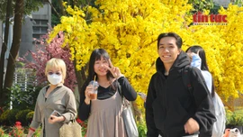 Người dân hào hứng trải nghiệm không gian sắc xuân tại công viên Phan Đình Phùng