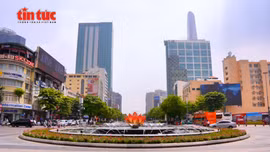 Người dân phấn khởi khi 'đất vàng' được cải tạo thành vườn hoa Tết