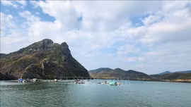 Quảng Ninh nỗ lực hỗ trợ ngư dân tái khôi phục sau bão số 3