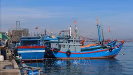 Nỗ lực hoàn thành đăng ký, đăng kiểm và cấp phép cho tàu cá