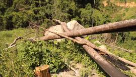 Chặn đứng nạn phá rừng, lấn chiếm đất tại huyện Krông Bông