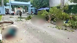 Hiện trường nhánh cây gãy rơi trúng nhóm người đang tập thể dục trong Công viên Tao Đàn (Quận 1, TP Hồ Chí Minh).