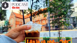 Lân la cà phê "bệt" ở TP Hồ Chí Minh