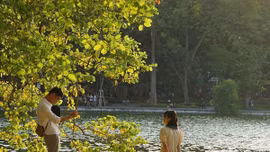 Mùa thu trong lòng phố