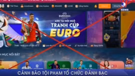 Cảnh báo tội phạm tổ chức đánh bạc dưới hình thức cá độ bóng đá