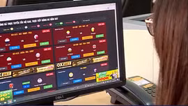 Việt Nam thiệt hại 350 triệu USD vì vi phạm bản quyền