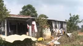 Nhiều nông dân trắng tay sau lũ