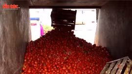 Bất ổn leo thang, Bolivia thiếu nghiêm trọng nguồn cung thực phẩm