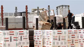 Tăng tốc đưa hàng viện trợ nhân đạo tới Gaza để ngăn chặn nạn đói