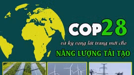 Tin tức TV: COP28 và kỳ vọng lật trang mới cho năng lượng tái tạo