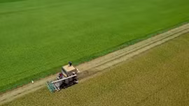 Nông dân Thái Lan tích cực tăng sản lượng gạo