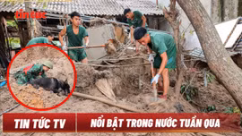 Tin tức TV: Tập trung khắc phục hậu quả cơn bão số 3; Xét xử vụ án Vạn Thịnh Phát giai đoạn 2