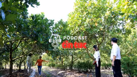 Giải mã cùng luật sư: Kỳ vọng mới cho đầu tư bất động sản nông nghiệp