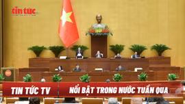 Tin tức TV: Bộ Chính trị xem xét, thi hành kỷ luật tổ chức đảng, đảng viên; Quốc hội chất vấn và trả lời chất vấn