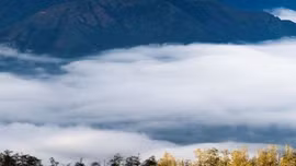 Vi vu Việt Nam: Đến Y Tý, săn 'biển mây' đẹp tựa tranh vẽ 