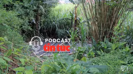 Tin nóng trong nước nghe nhanh sáng 6/6