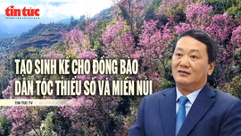 Tin tức TV: Tạo sinh kế, ổn định cuộc sống cho đồng bào dân tộc thiểu số và miền núi 