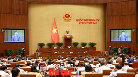 Tin nóng trong nước nghe nhanh sáng 6/11