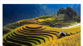 Những sản phẩm du lịch độc đáo níu chân du khách