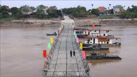 Cầu phao Phong Châu nối đôi bờ Tam Nông - Lâm Thao