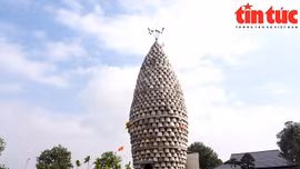 Chiêm ngưỡng "hạt lúa" khổng lồ được xác lập kỷ lục Việt Nam