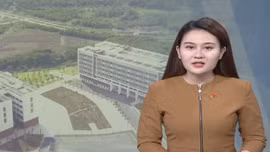 Kiến nghị cấp bù kinh phí khi chưa tăng học phí