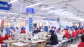 Đầu tháng 8 sẽ họp bàn tăng lương tối thiểu vùng năm 2024