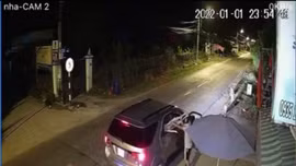 Nhóm đối tượng đi ô tô, dùng súng chích điện để trộm chó ở TP Hồ Chí Minh