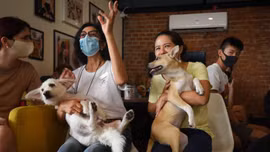 Quán cà phê thú cưng tại Thái Lan