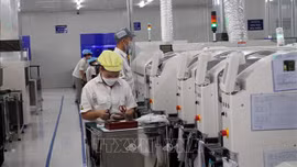 Nhiều doanh nghiệp Việt ngừng chuyển đổi số