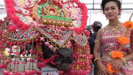 Tới Thái Lan xem trâu thi hoa hậu