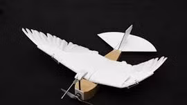 Thiết bị không người lái gắn lông vũ bay lượn như chim