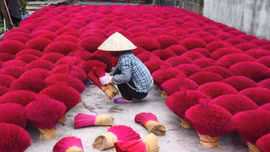 Hãng thông tấn Pháp làm phóng sự ấn tượng về làng hương Việt Nam dịp cận Tết