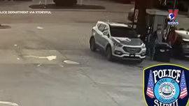 Chó lái xe băng qua đường bốn làn ở Mỹ