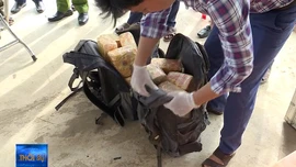 Hà Tĩnh bắt vụ vận chuyển 31 kg ma túy