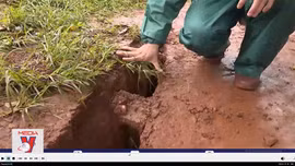 Cảnh báo các dấu hiệu nguy hiểm sạt lở đất