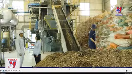 Nhà máy và trang trại sữa đầu tiên được chứng nhận đạt trung hòa carbon