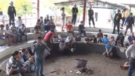 Phú Yên khởi tố vụ đánh bạc bằng hình thức đá gà