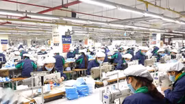 Doanh nghiệp đủ năng lực sản xuất và xuất khẩu khẩu trang kháng khuẩn