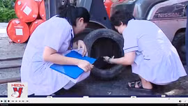 Hà Nội ghi nhận hơn 1.000 ca sốt xuất huyết trong 1 tuần