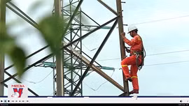 Đảm bảo vận hành an toàn đường dây tải điện ra Bắc